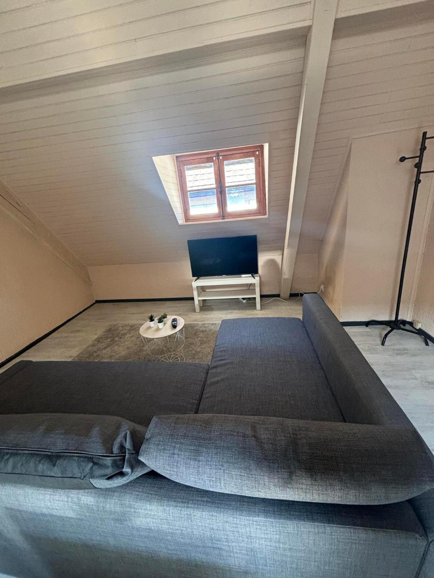 Le Merveilleux Apartamento Soultz-Haut-Rhin Exterior foto